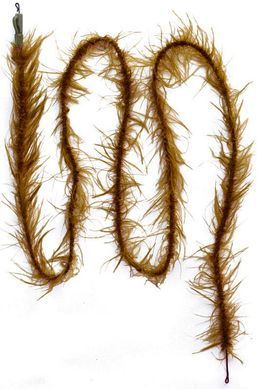 Лідкор Prologic ThaWeed Ready Leader 100cm 40lbs NL 4pcs