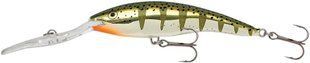 Воблер Rapala Deep Tail Dancer 90mm 13g #FYP (TDD09 FYP)