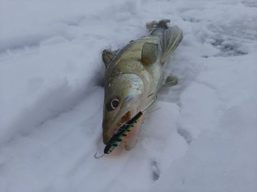 Балансир Lucky John NORDIC 6 60мм/103