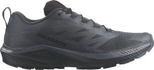 Кроссовки Salomon Sense Ride 5 SR 10 Indink
