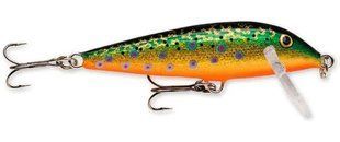 Воблер Rapala Countdown Sinking 25mm 2.7g 0.3-0.9m #BTR (CD01 BTR)
