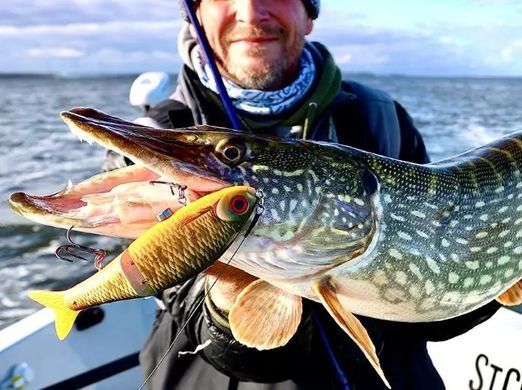 Воблер Rapala Super Shadow Rap 110mm 38g 0.9-1.2m #HTIP (SSDR11 HTIP)