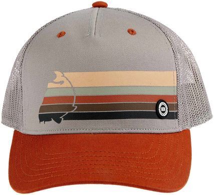Кепка Brain Rainbow 58 ц:brown