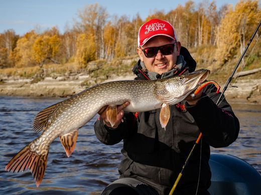 Виброхвосты LJ 3D Series KUBIRA SWIM SHAD 5,0in (12,50)/PG36 3шт.