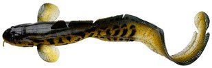 Силікон Savage Gear 3D Burbot FS 250mm 75.0g 01-Burbot (поштучно)