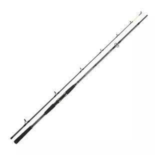 Спиннинг Daiwa Seahunter X 2.70m 30-60g (11533-270)