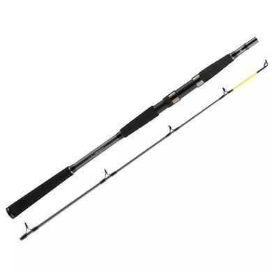 Спінінг Daiwa Seahunter X 2.70m 30-60g (11533-270)