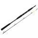 Спінінг Daiwa Seahunter X 2.70m 30-60g (11533-270)