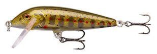 Воблер Rapala Countdown S 50mm 5g 0.9-1.8m #GJTR (CD05 GJTR)