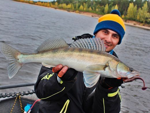 Виброхвосты съедоб. искусст. LJ Pro Series MINNOW 3.3in (08.40)/T57 7шт.