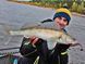 Виброхвосты съедоб. искусст. LJ Pro Series MINNOW 3.3in (08.40)/T57 7шт.