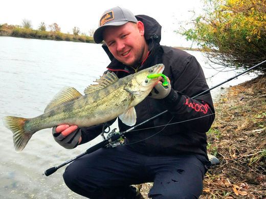 Віброхвіст силікон. TIOGA LJ Pro Series 2,9 "/ 071 *7