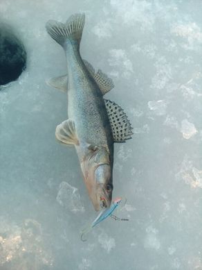 Балансир Lucky John VIKING 6 60мм/15H